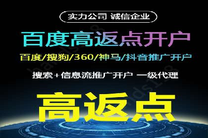 百度竞价广告投放案例剖析
